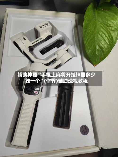 辅助神器“手机上麻将开挂神器多少钱一个”(作弊)辅助透视教程-第3张图片