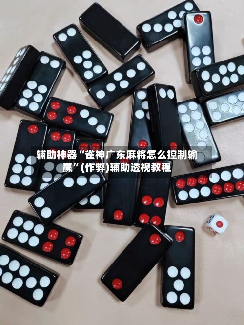 辅助神器“雀神广东麻将怎么控制输赢”(作弊)辅助透视教程-第2张图片