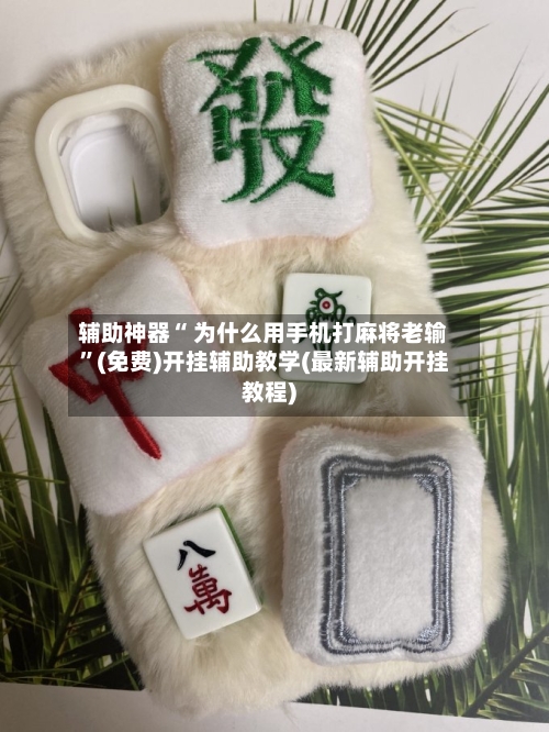 辅助神器“ 为什么用手机打麻将老输”(免费)开挂辅助教学(最新辅助开挂教程)-第2张图片