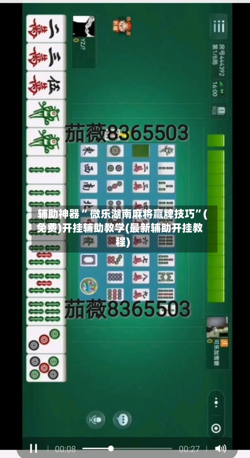 辅助神器“ 微乐湖南麻将赢牌技巧	”(免费)开挂辅助教学(最新辅助开挂教程)-第2张图片
