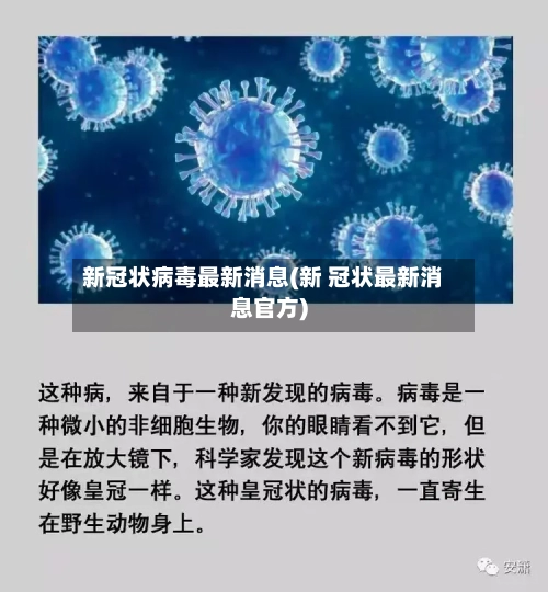 新冠状病毒最新消息(新 冠状最新消息官方)-第2张图片