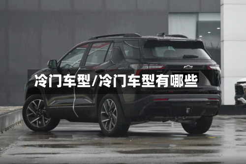 冷门车型/冷门车型有哪些-第2张图片