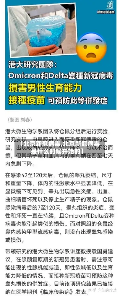 【北京新冠病毒,北京新冠病毒是什么时候开始的】-第2张图片