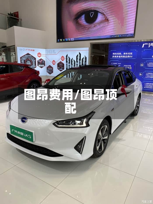 图昂费用/图昂顶配-第3张图片