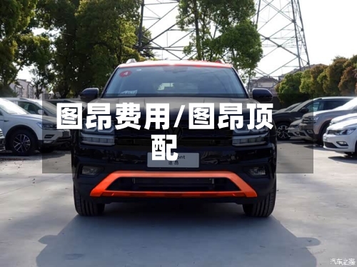 图昂费用/图昂顶配-第2张图片