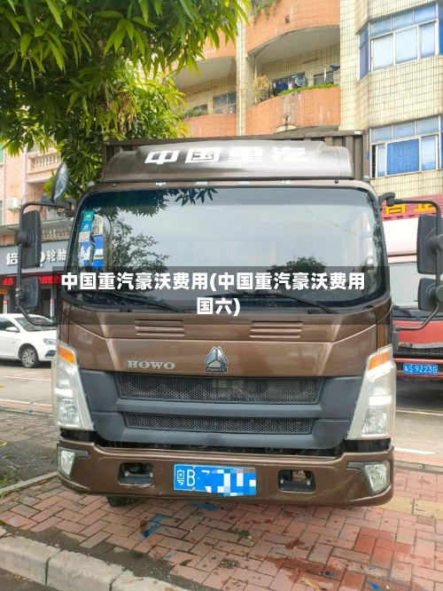 中国重汽豪沃费用(中国重汽豪沃费用国六)-第2张图片