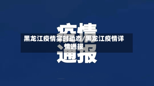 黑龙江疫情实时动态/黑龙江疫情详情通报-第2张图片