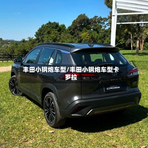 丰田小钢炮车型/丰田小钢炮车型卡罗拉