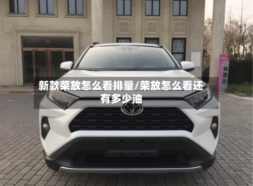 新款荣放怎么看排量/荣放怎么看还有多少油-第3张图片
