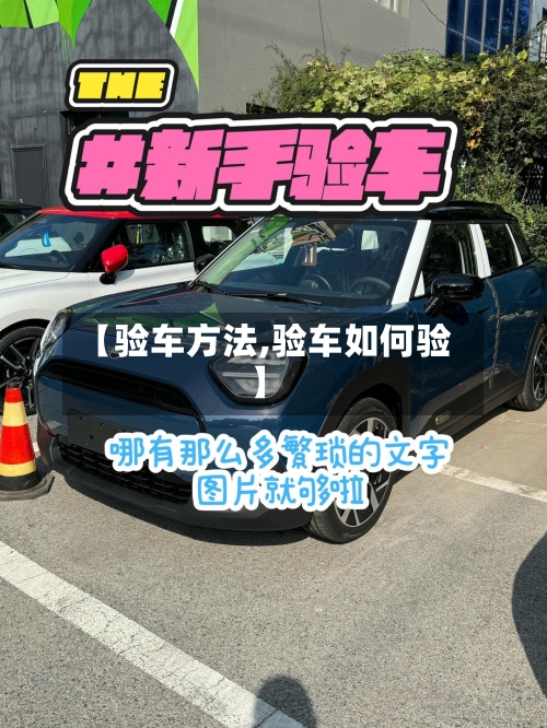 【验车方法,验车如何验】-第2张图片