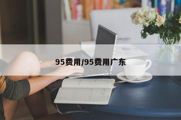 95费用/95费用广东
