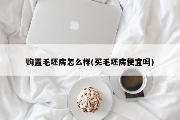 购置毛坯房怎么样(买毛坯房便宜吗)