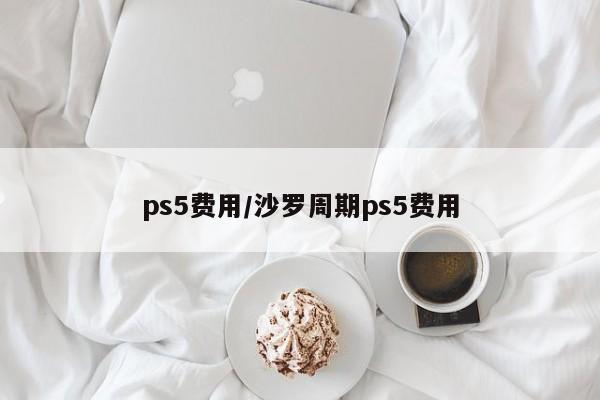 ps5费用/沙罗周期ps5费用