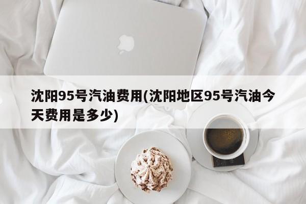 沈阳95号汽油费用(沈阳地区95号汽油今天费用是多少)
