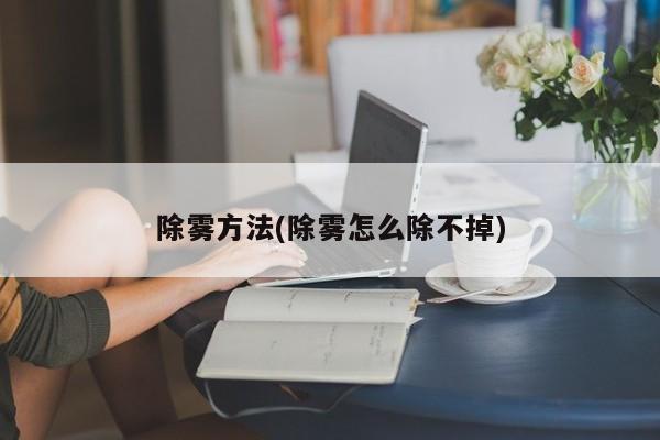 除雾方法(除雾怎么除不掉)