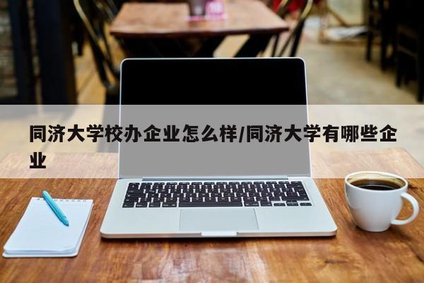 同济大学校办企业怎么样/同济大学有哪些企业