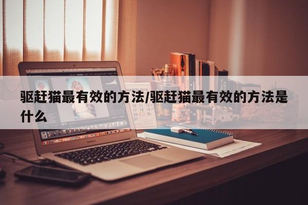 驱赶猫最有效的方法/驱赶猫最有效的方法是什么