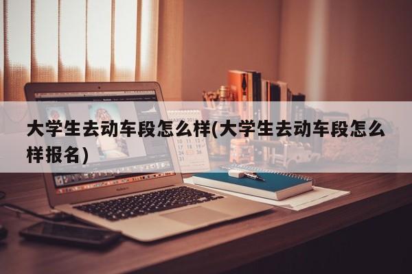 大学生去动车段怎么样(大学生去动车段怎么样报名)