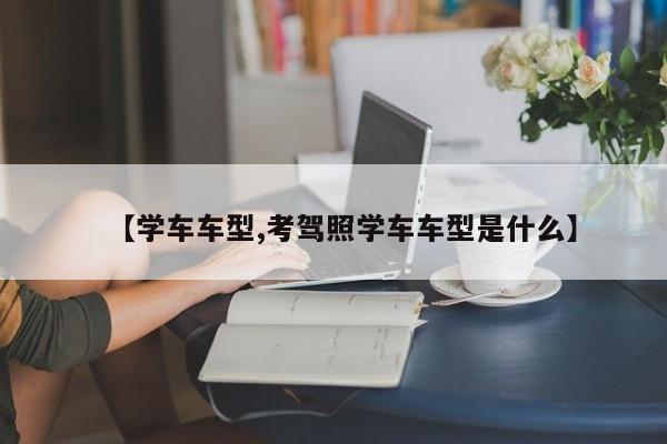 【学车车型,考驾照学车车型是什么】