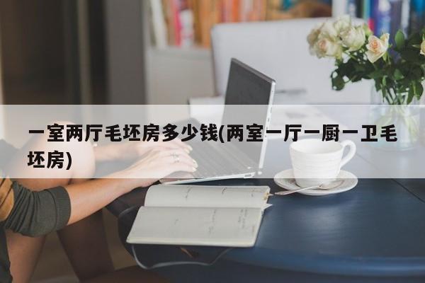 一室两厅毛坯房多少钱(两室一厅一厨一卫毛坯房)